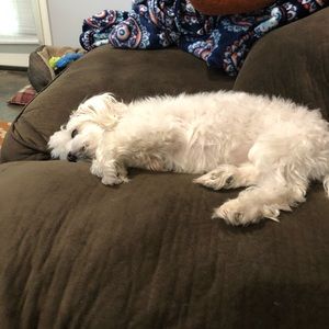 Meet your Posher, Zachary